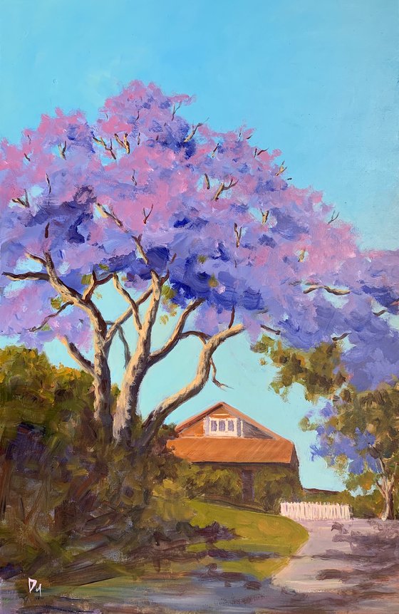 House with jacaranda