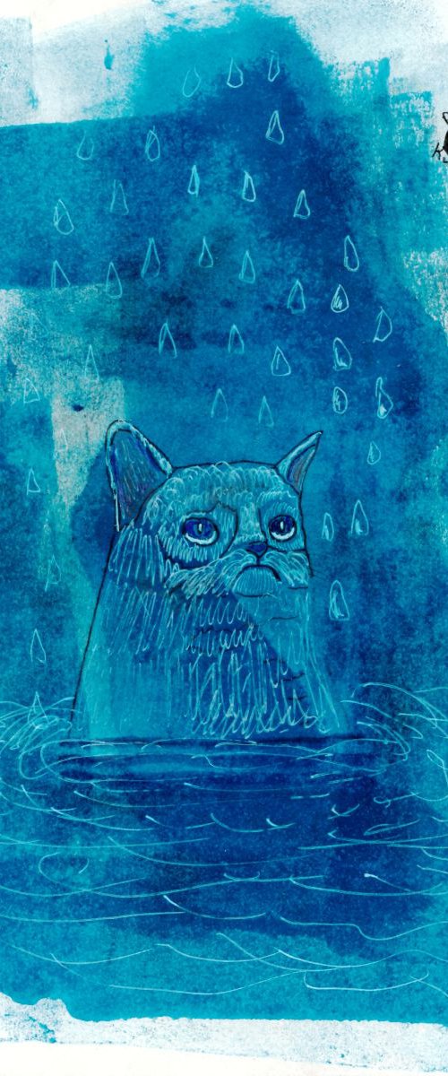 Bath time for cat by Pavel Kuragin
