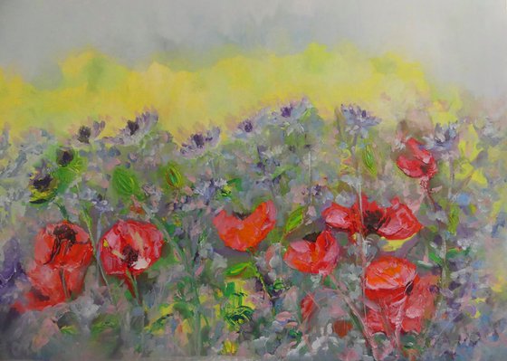 Garden Poppies