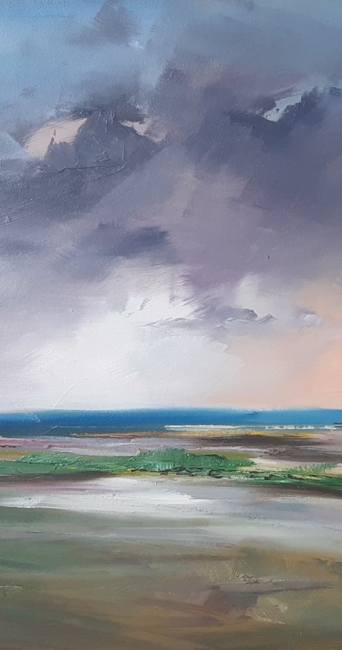 Evening Light Parkgate Marsh by Steve Keenan