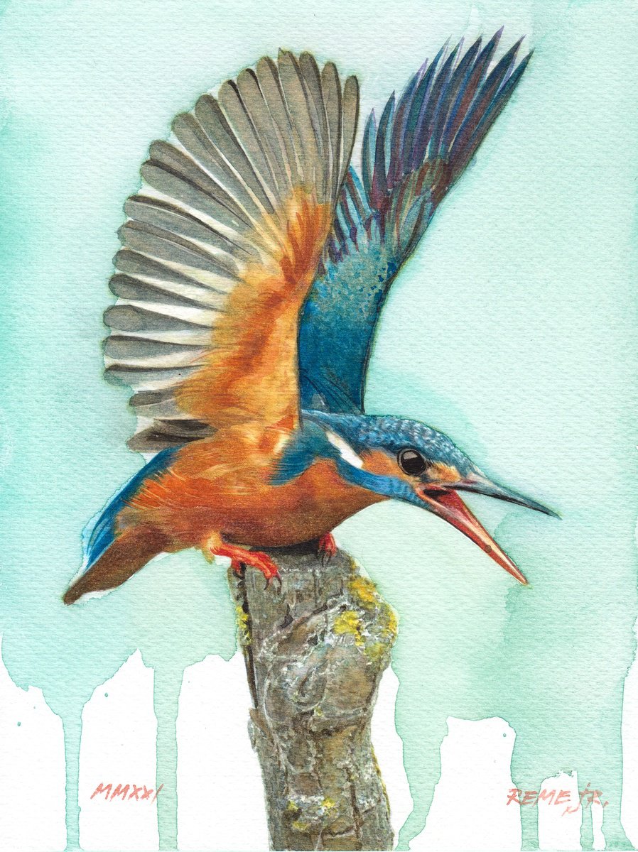 BIRD CCII - Kingfisher by REME Jr.