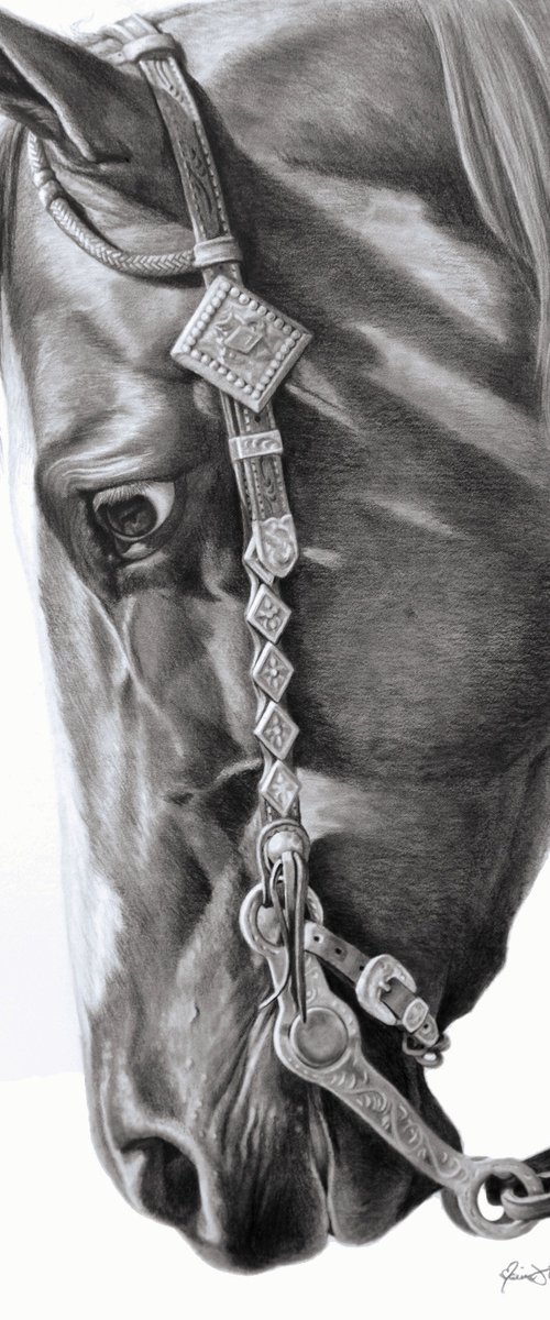 Silver Diamonds by Maria D'Angelo