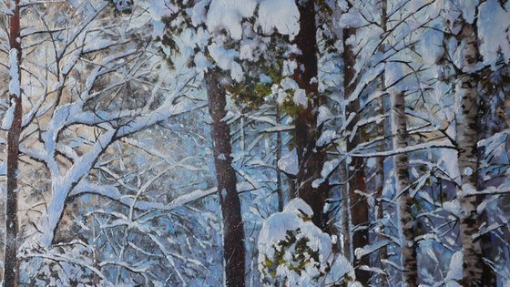 Winter Woodland Snow Scene