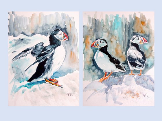 Puffin collection