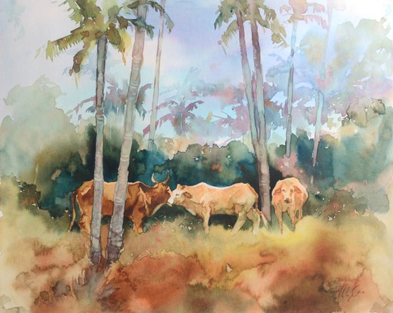 Сows under palm trees