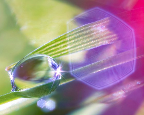 Projection - Studio Edition