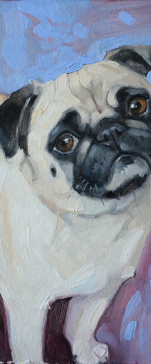 Cute pug (oil/cardboard) by Alexandra Sergeeva