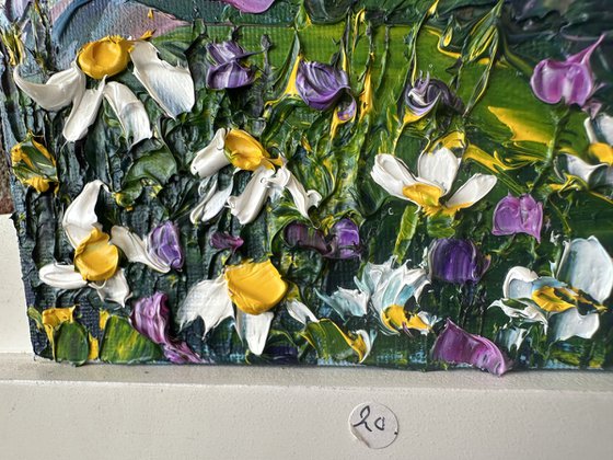 Daisies in the mountains