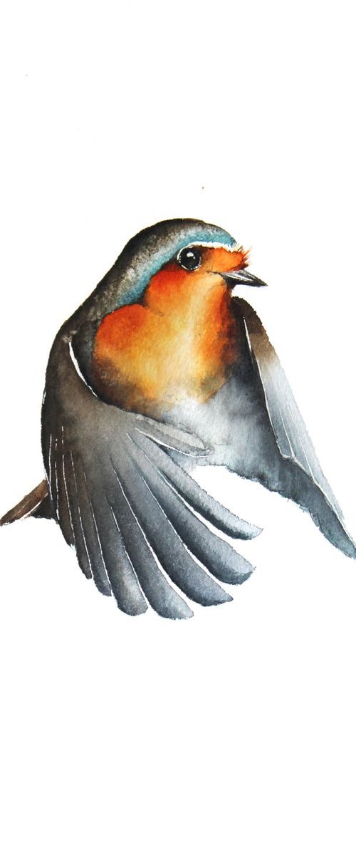 Flying Robin, wildlife, birds and nature watercolour by Karolina Kijak