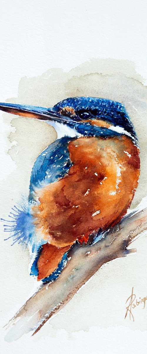 Kingfisher by Andrzej Rabiega