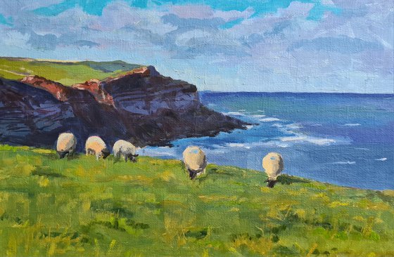 Sheep grazing on coastal cliffs