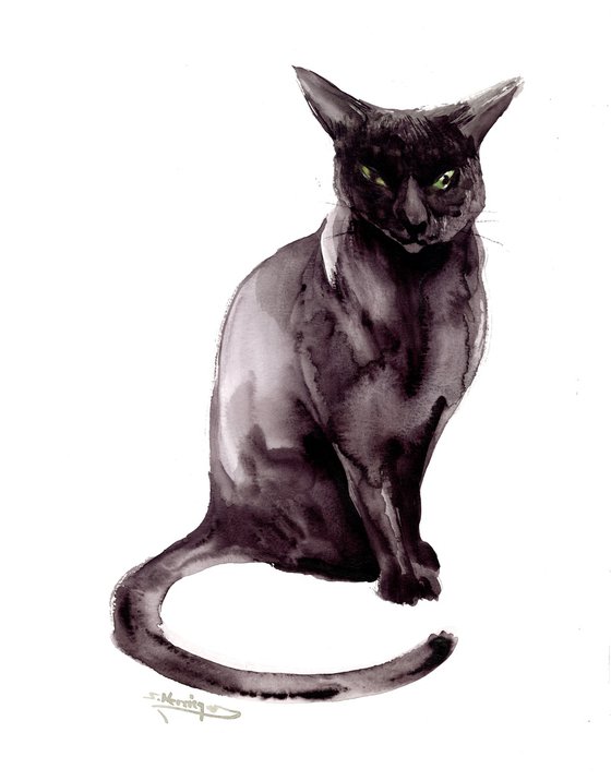 Black cat