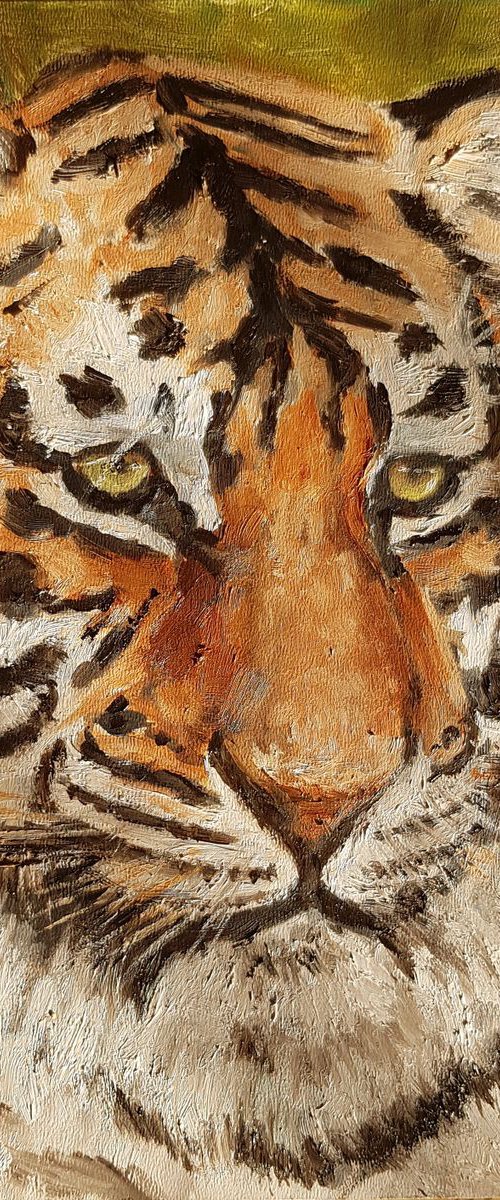 Bengal tiger by Els Driesen