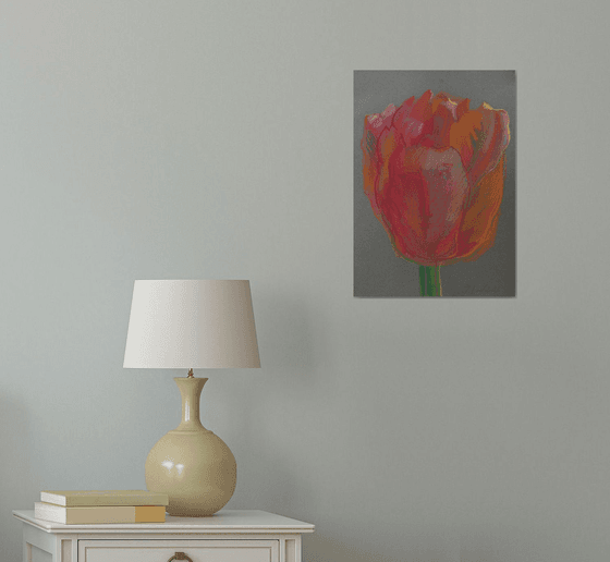 Tulip