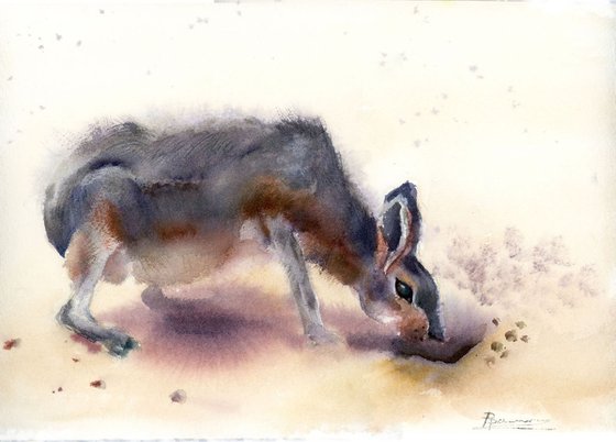 Patagonian mara