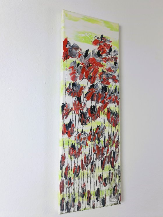Poppy Flowers 1