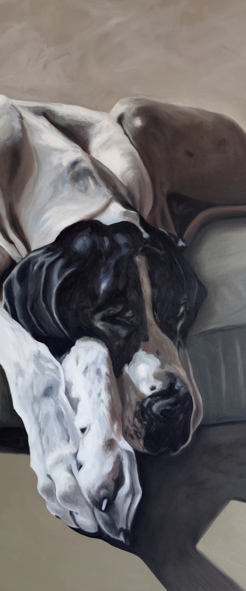 Sleeping Dane by Lorna Mousley