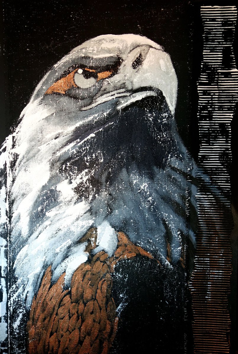 The eagle XL no. 6416 by Anita Kaufmann