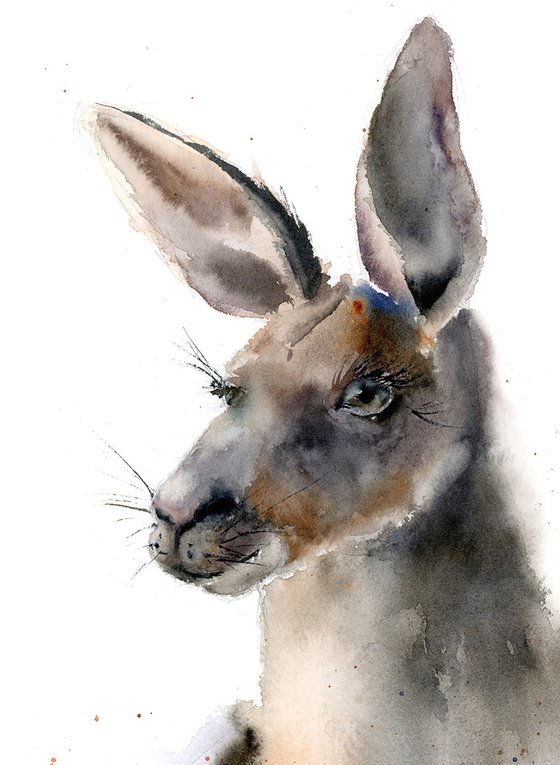 Kangaroo portrait