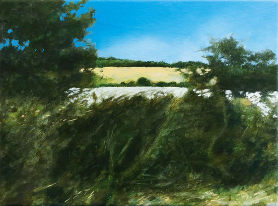 HEDGE, PASSING, A303