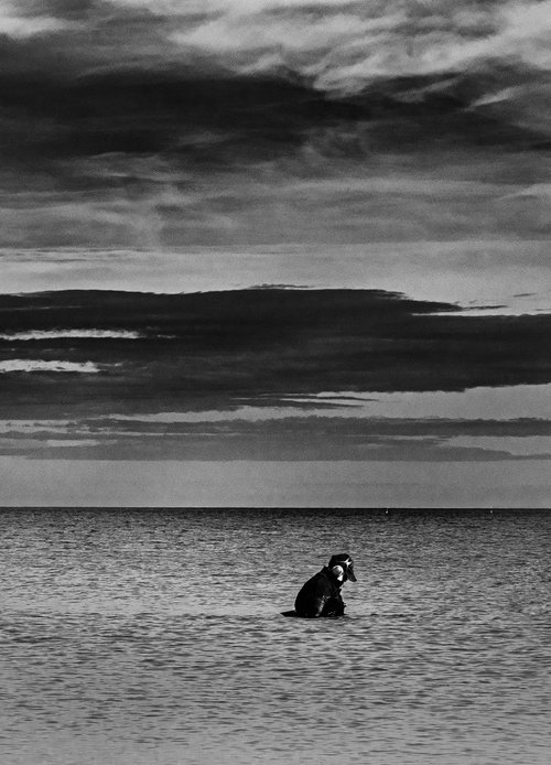 Solitario (2of7) by Niccolò Mario Zorza