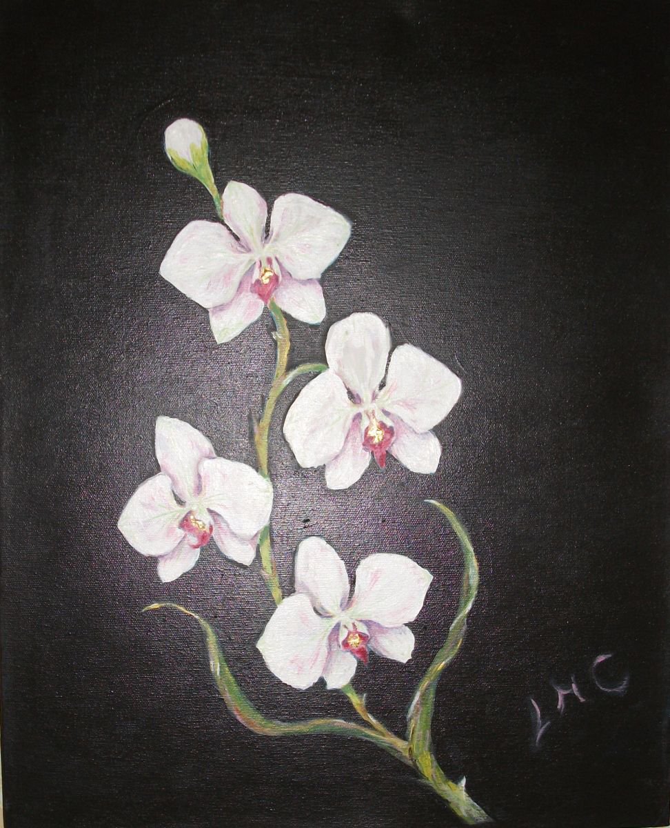 Orchid by Lynda Cockshott