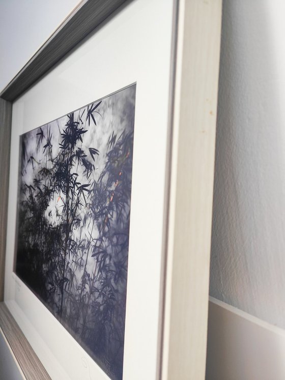 (FRAMED) The power of simplicity II