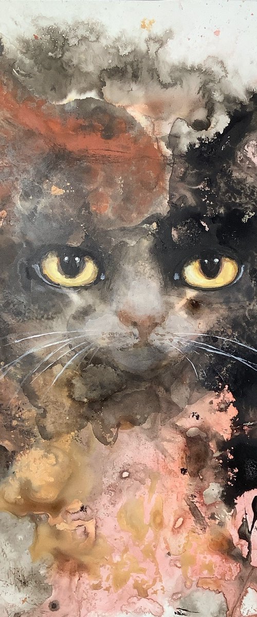 ABSTRACT KITTY by Eva Fialka