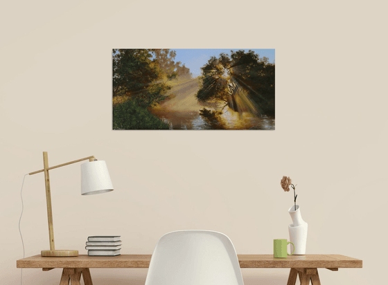 Sunlight Through Trees