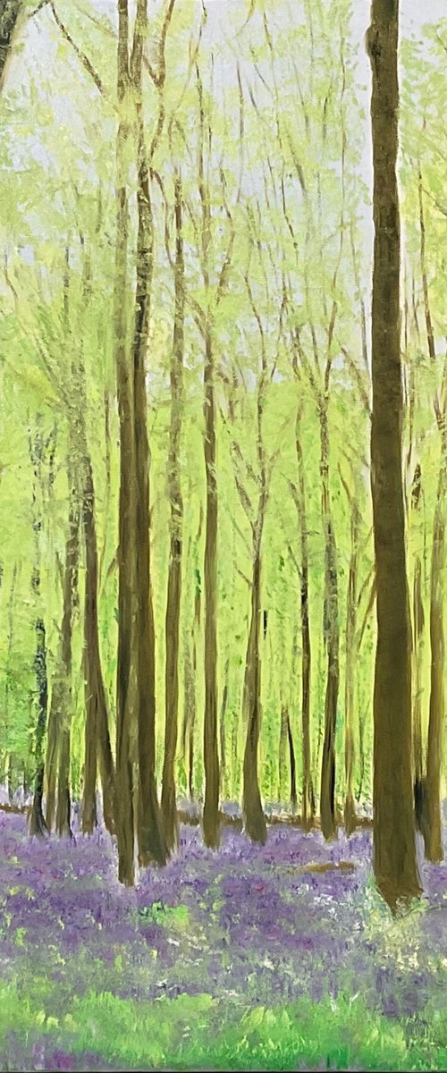 Bluebell Woods by Alla Kallass