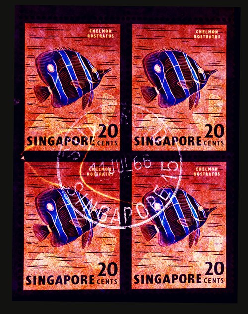 Heidler & Heeps Singapore Stamp Collection '20 Cents Singapore Butterfly Fish' by Richard Heeps