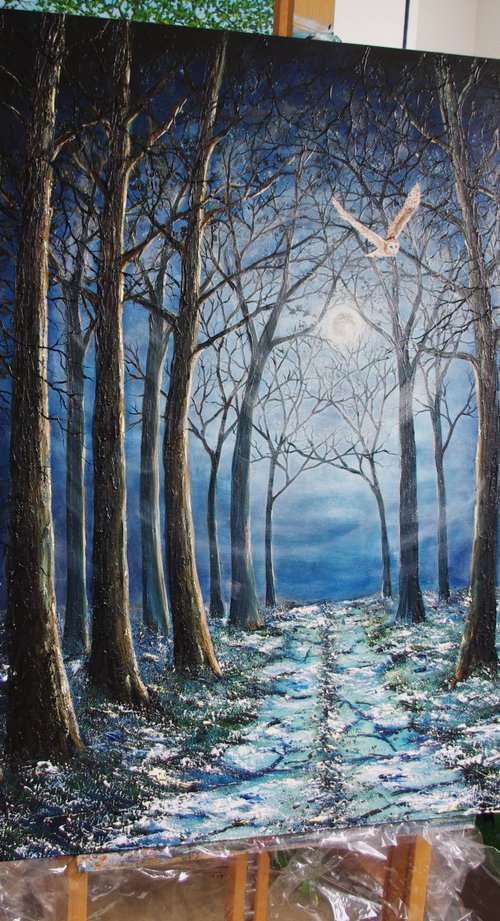 Silent Night in The Forest by Hazel Thomson