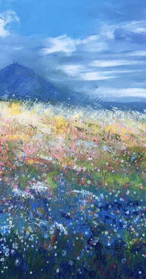 Spring At Brentor by Laure Bury