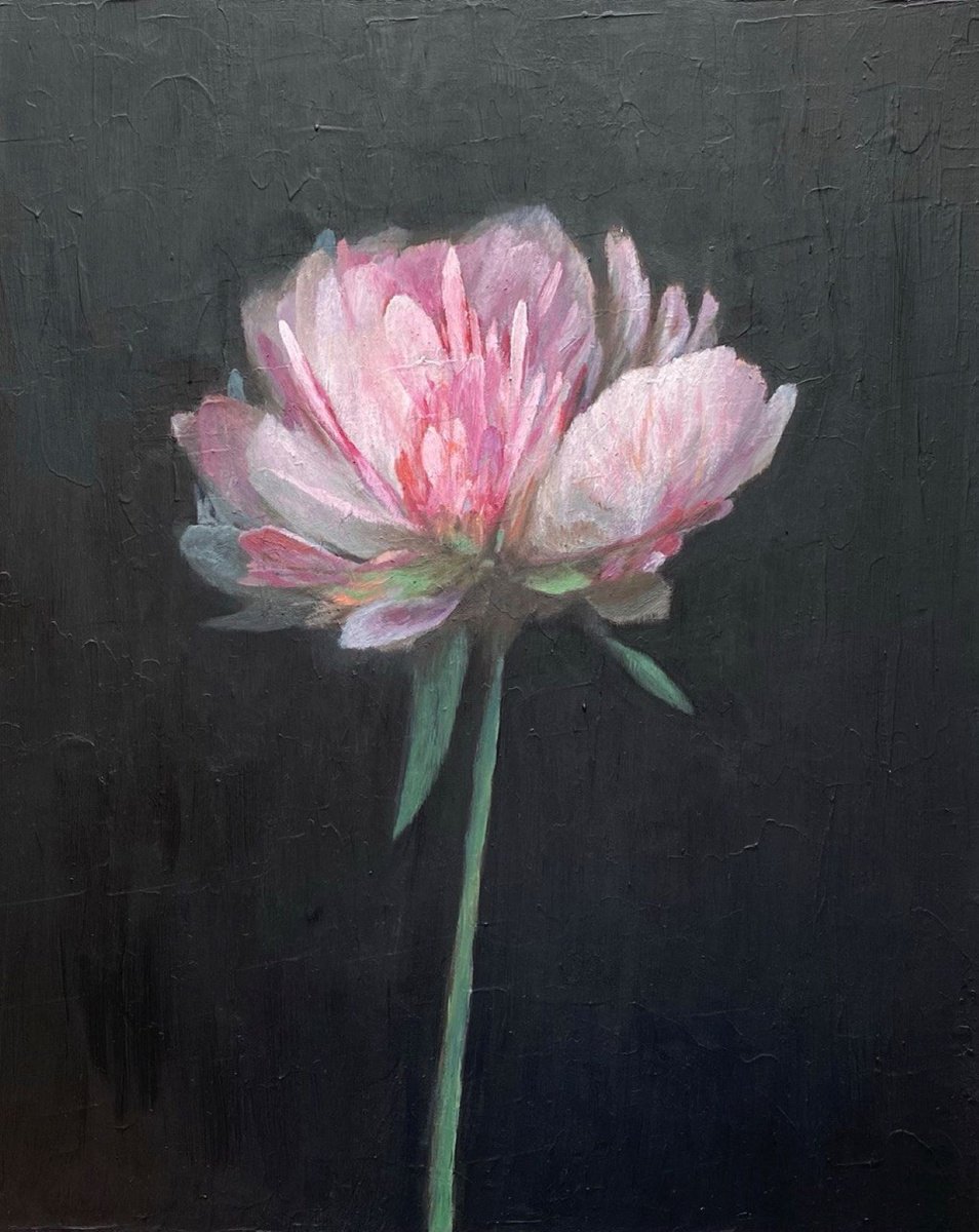 Impressionistic Botanical Oil Painting By Bohdan Vykhrenko, 16 X 20, Pink Flower, Original Artwork