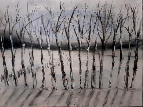 Row of trees in snowy landscape by Nektaria G