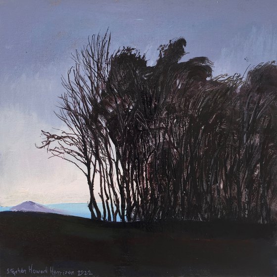 'The edge of the Woods, Winter'