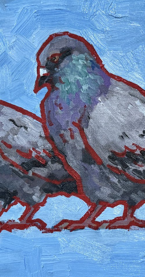 Pigeons couple by Ekaterina Dutkevich