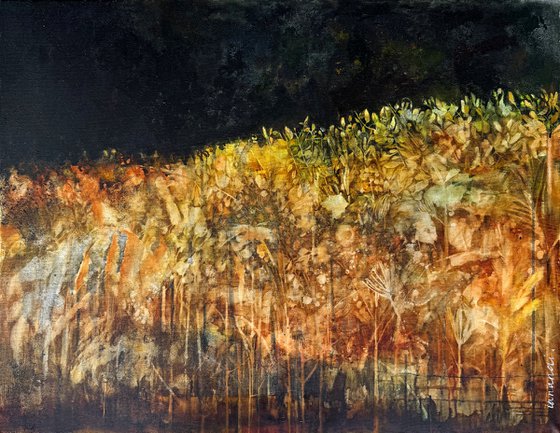 Golden Meadow/"Earth Element"series