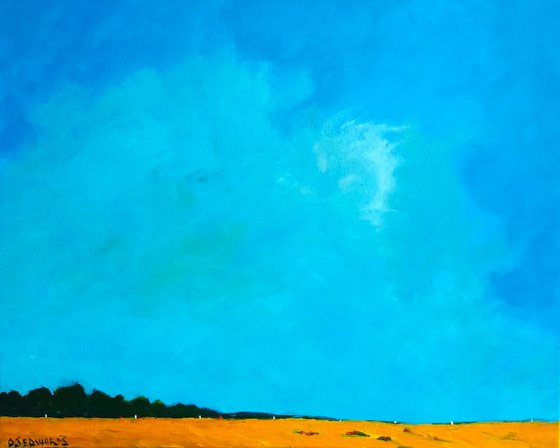 SUMMER SKY AND CANOLA FIELD