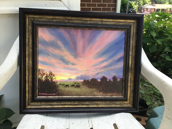 CATTLE PASTURE SKY SHOW