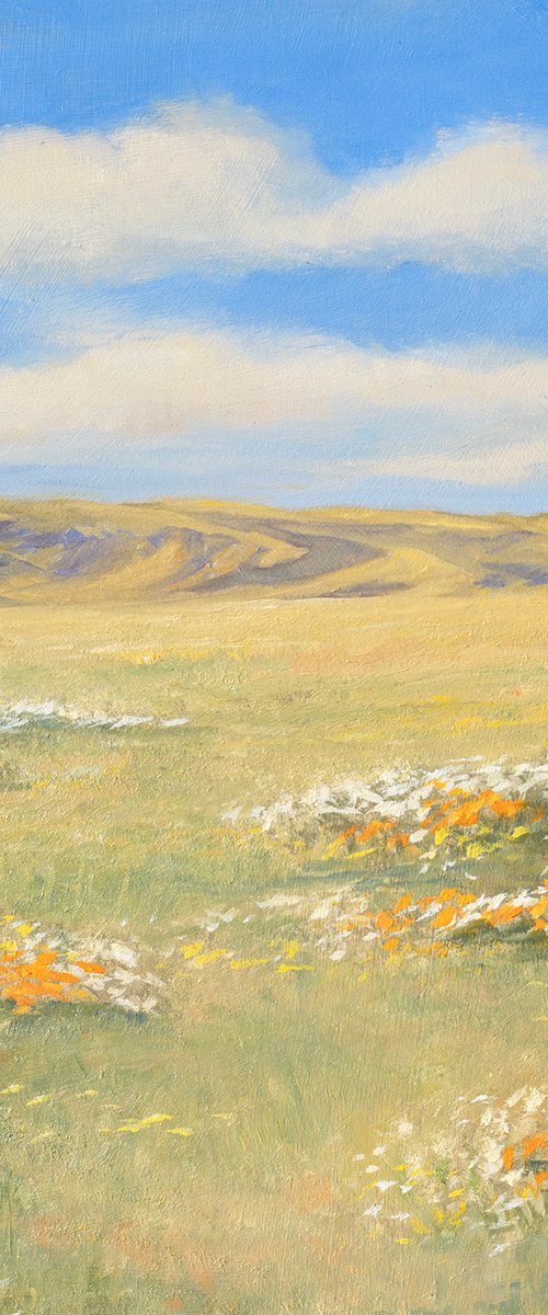 Summer Poppies 261003 by Don Bishop