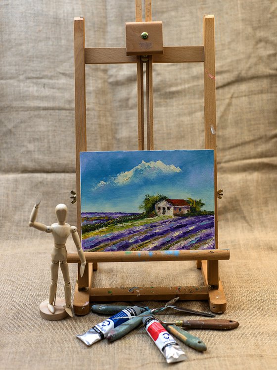 Small house in lavander fields. Croatian view. Croatian landscape