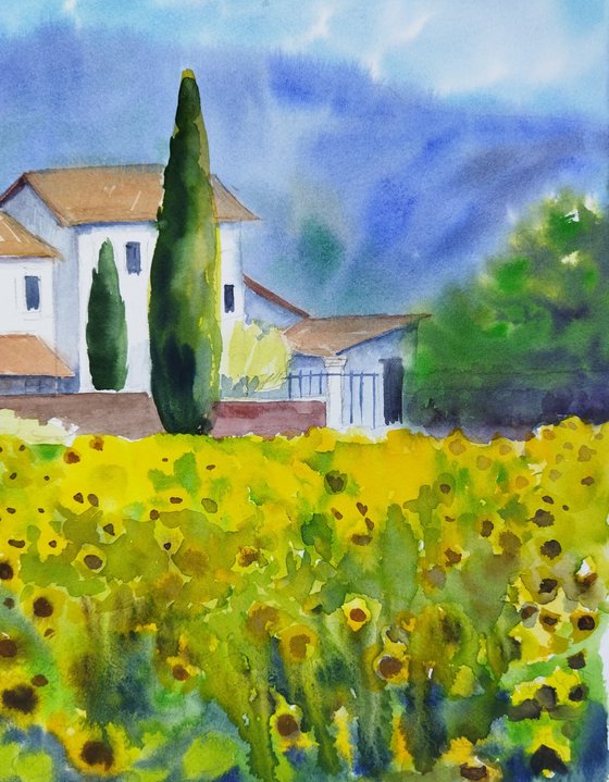 Golden Villa Sunflowers