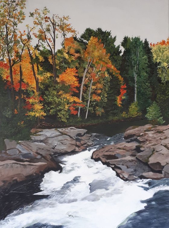 Fall Colours