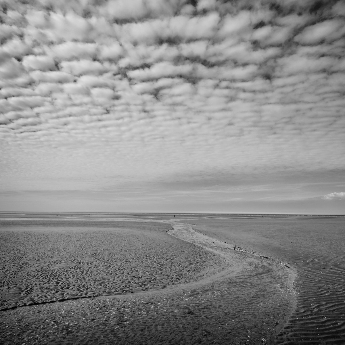 Photorealistic Landscape Photograph By Christian Schwarz, 17 X 17, Life I, Original Artwork