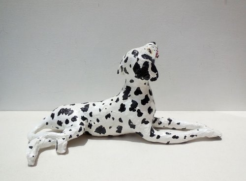 Dalmatian Dog by Shweta  Mahajan
