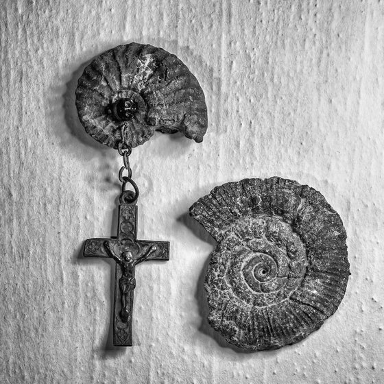 Anti-Creationism II