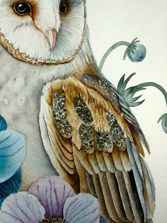 Barn Owl with Anemones
