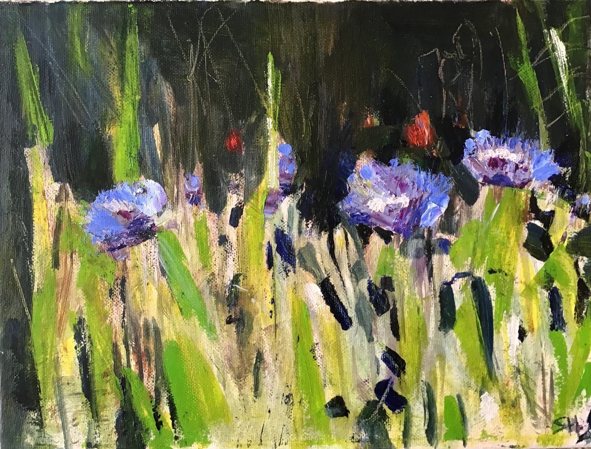 Cornflowers Study 3 By Sandra Haney, 12 X 9, Artwork For Sale On Artfinder
