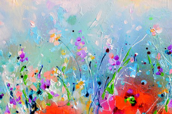 Tuscany Poppy Fields - Wild Flowers